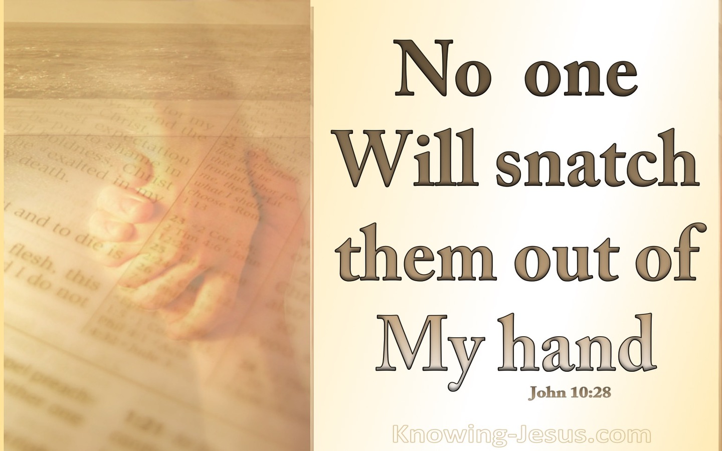 John 10:28 No One Will Snatch Them Out Of My Hand (beige)